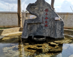 天冷易干燥，宁可少吃肉，也要喝这瓶开盖即食“银耳羹”，清甜滋润防秋燥(图5)